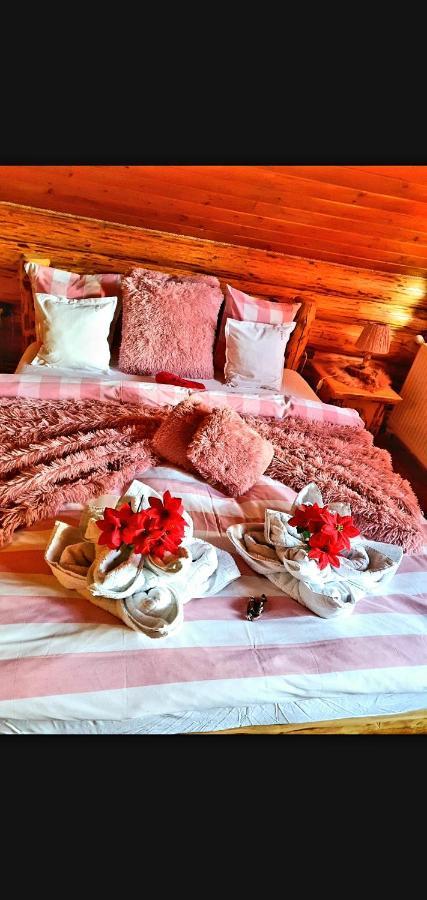 La Casute Bran Villa บราน ภายนอก รูปภาพ